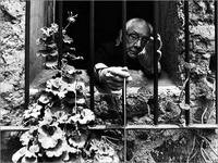 Manuel Álvarez Bravo