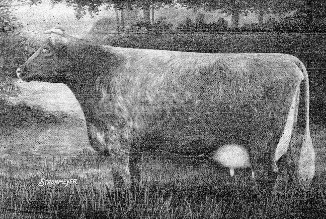 Wayne Caldwell Neely Collection of Shorthorn Cattle Catalogs